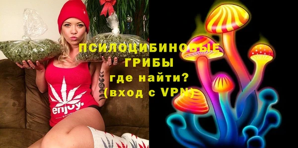 a pvp Краснослободск