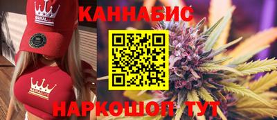 индика Аргун