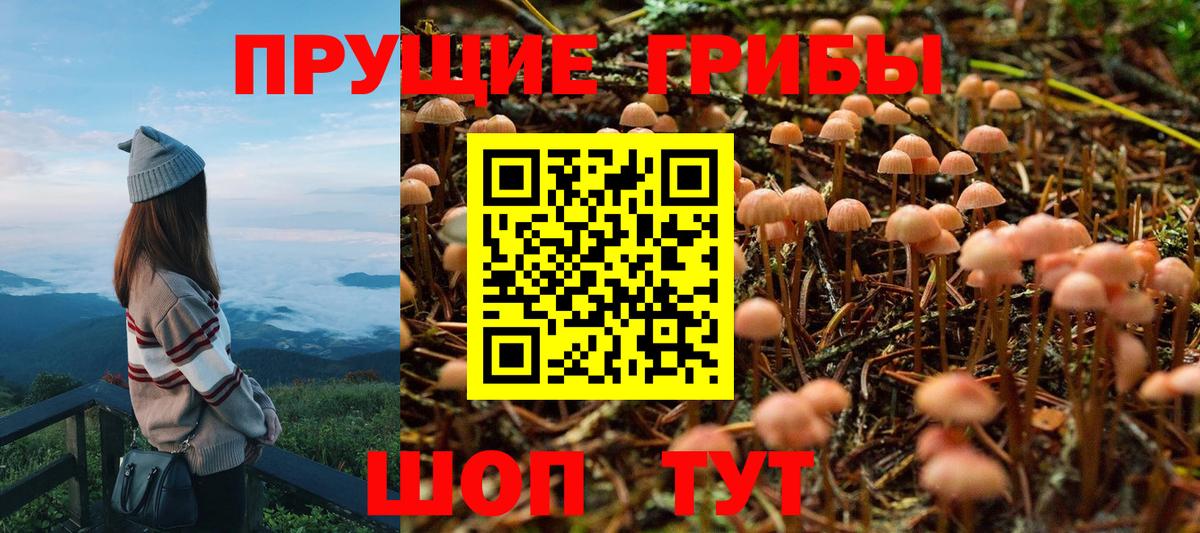 Псилоцибиновые грибы мухоморы  Белебей 