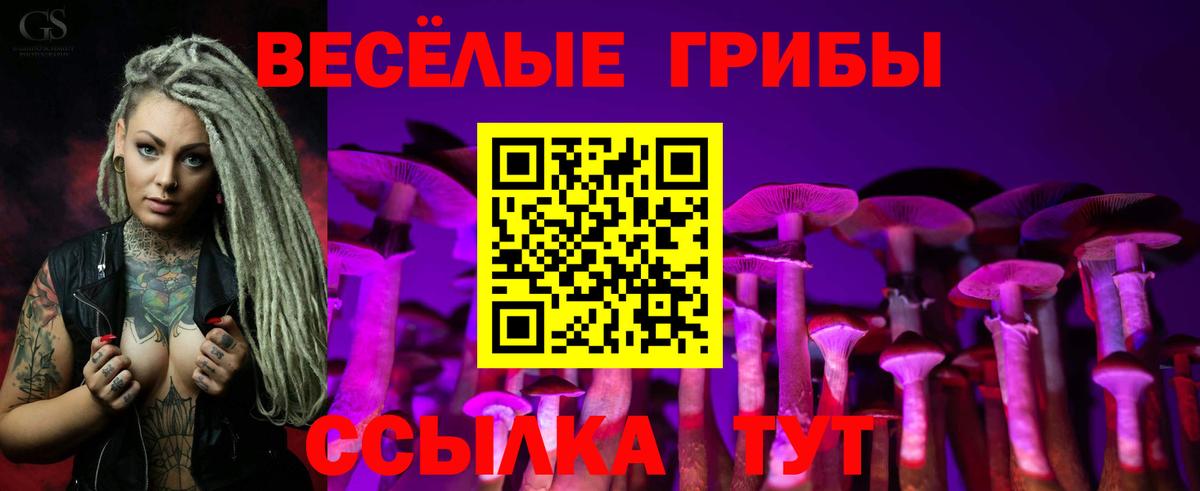 Псилоцибиновые грибы GOLDEN TEACHER Белебей
